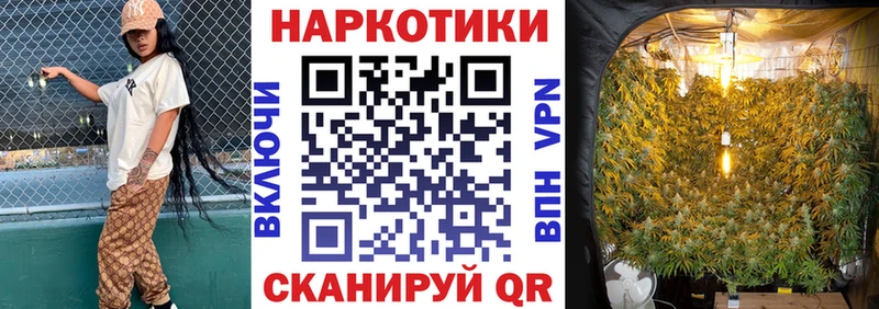 Наркотические вещества Бакал АМФ Гашиш ГЕРОИН COCAIN Марихуана